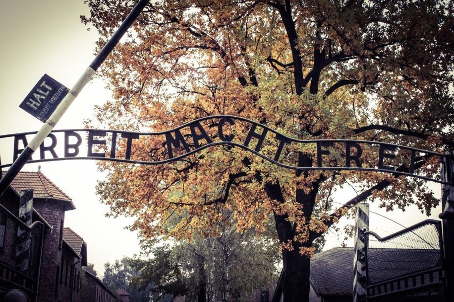 Auschwitz-Birkenau Tour from Katowice with Private Transfers - Why Auschwitz-Birkenau Requires More Than a Quick Look