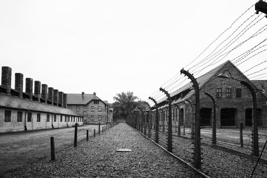 Auschwitz-Birkenau Tour from Katowice with Private Transfers - Is $219 a Fair Price From Katowice?