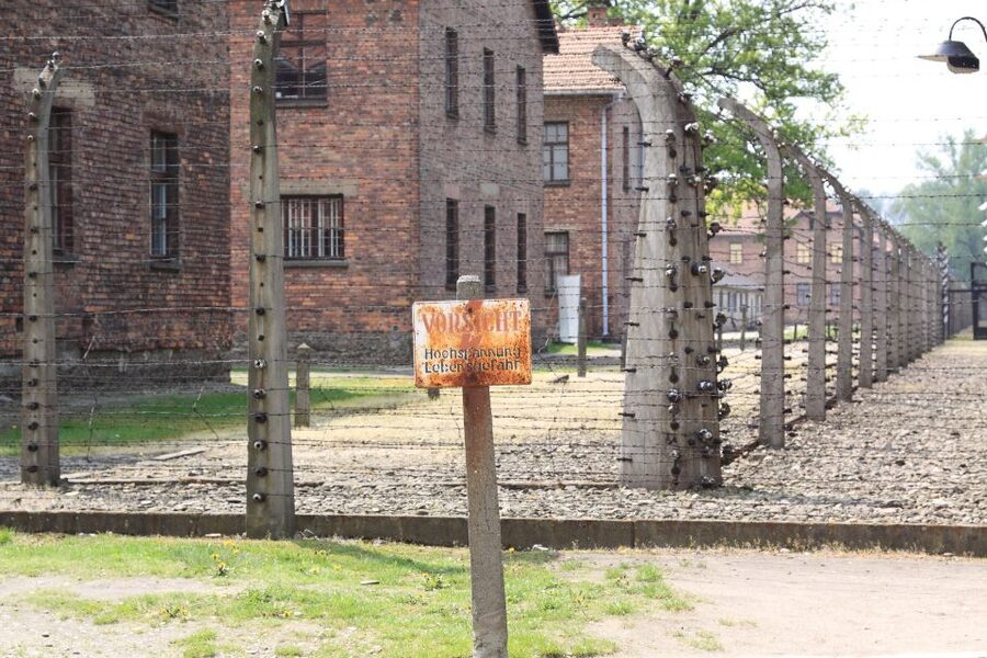 Auschwitz-Birkenau Tour from Katowice with Private Transfers - Accessibility and Physical Demands