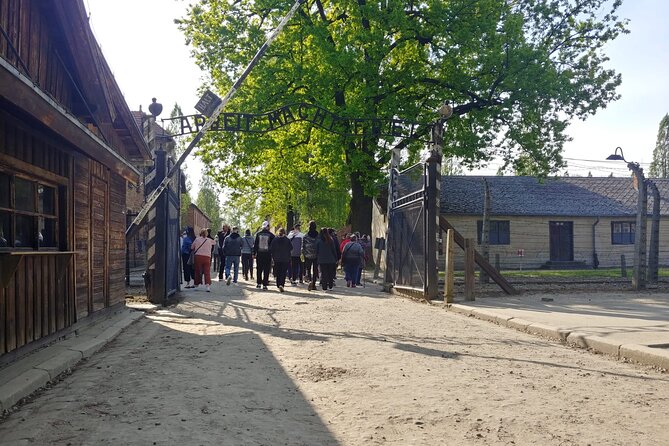 Auschwitz - Birkenau Tour with Private Transport from Krakow - Birkenau: scale, open space, and silence