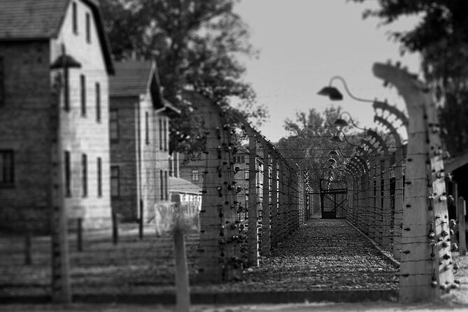 Auschwitz Birkenau Transfer and Guide with Salt Mine Combo Option - Is $80.24 good value?