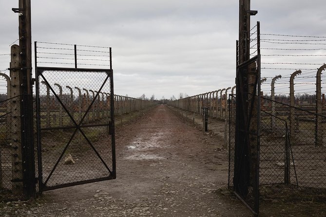 Auschwitz-Birkenau & Wieliczka in one day (Guided tour) - Who should book this day trip?