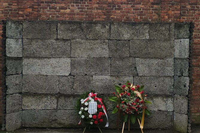 Auschwitz Museum and Salt Mine Tour with Private Transport - Who should book this experience?
