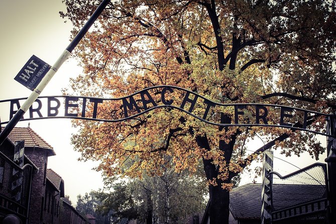 Auschwitz Private Tour - Birkenau: one hour across a much larger site