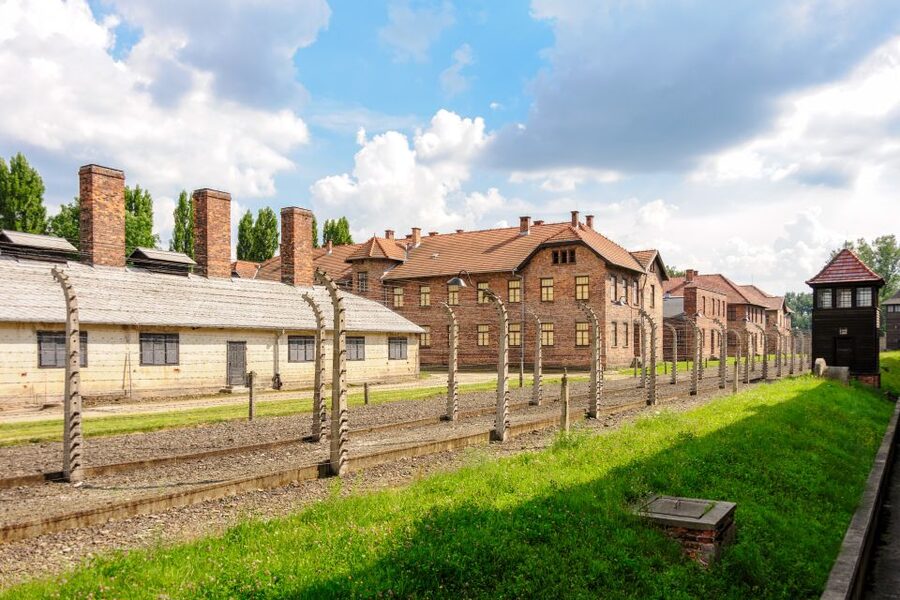 Auschwitz Ticket and Full-Day Tour from Krakow - Birkenau: scale, silence, and open ground