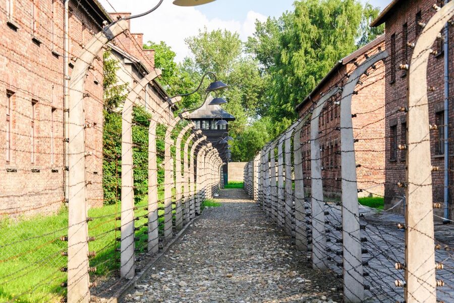 Auschwitz Ticket and Full-Day Tour from Krakow - What the $96 price covers