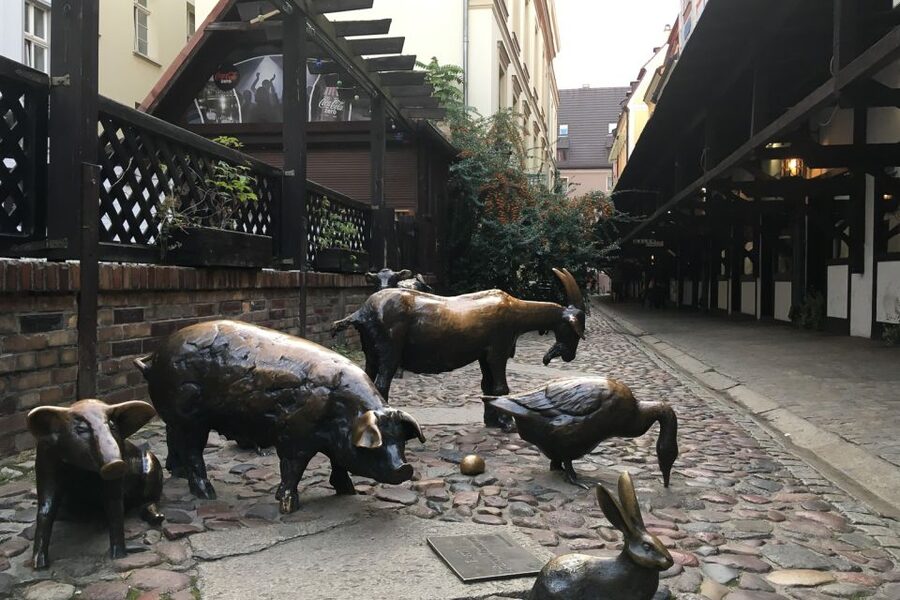 Best of Wroclaw 3-Hour History and Culture Walking Tour - Why this three-hour route works in Wroclaw
