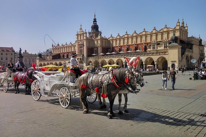 City Tour by electric car- Krakow - Who will get the most from this tour