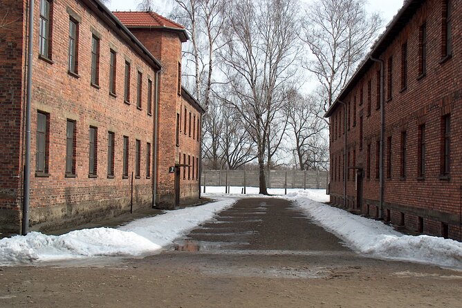 Exclusive Small Group Auschwitz-Birkenau Guided Tour from Krakow - What the Auschwitz day trip really involves