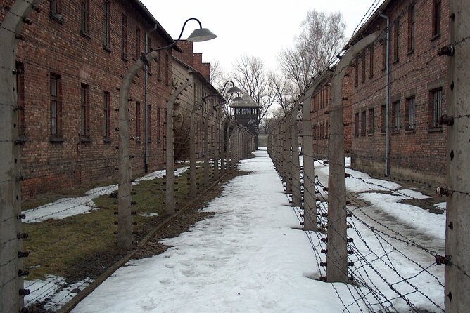 Exclusive Small Group Auschwitz-Birkenau Guided Tour from Krakow - Why the guide matters so much here