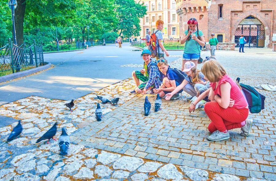 Family Tour of Krakow Old Town with Sweets Factory & Cruise - Starting at Krakow’s Barbican