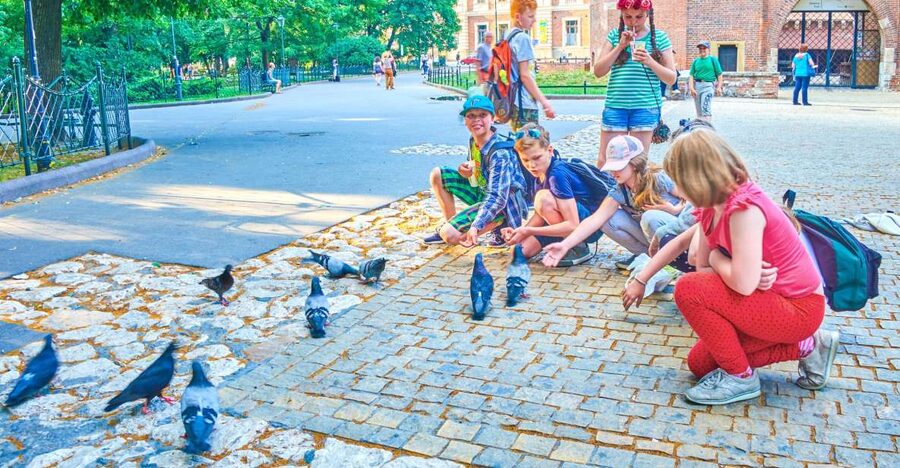 Family Tour of Krakow Old Town with Sweets Factory & Cruise - Following Floriańska Street along the Royal Route