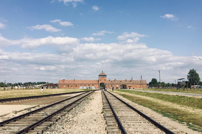 From Cracow: Auschwitz- Birkenau Tour with transportation - Why the self-guided format works, and where it falls short