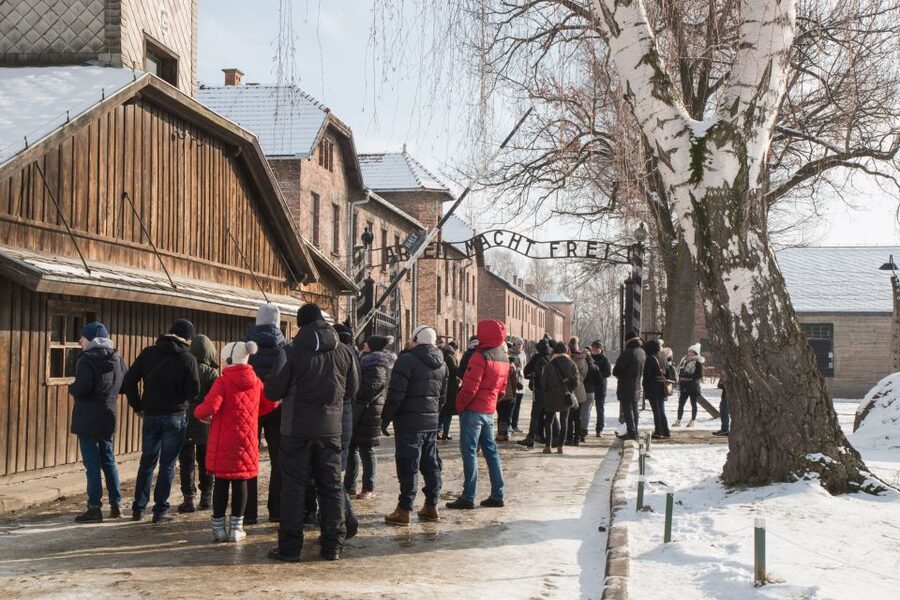 From Krakow: Auschwitz and Wieliczka Salt Mine Full-Day Trip - Birkenau: scale, silence, and open space