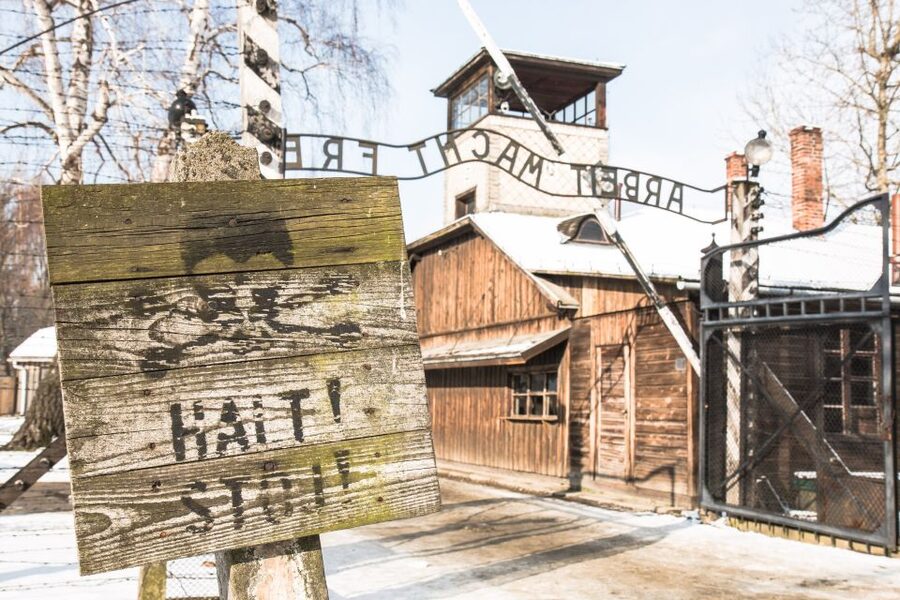 From Krakow: Auschwitz and Wieliczka Salt Mine Full-Day Trip - Why the order of the day works