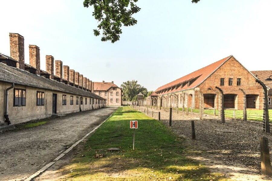 From Krakow: Auschwitz Birkenau and Salt Mine Guided Tour - Key points to know before booking