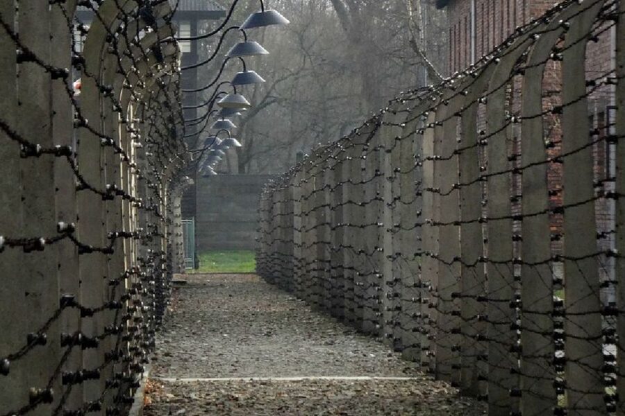 From Krakow: Auschwitz Birkenau and Salt Mine Guided Tour - Wieliczka Salt Mine: corridors, chapels, and salt art