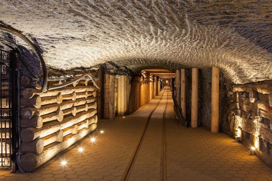 From Krakow: Auschwitz Birkenau and Salt Mine Guided Tour - Transport, timing, and the real cost of convenience