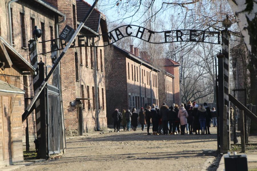 From Krakow: Auschwitz-Birkenau and Self-Guided Day Tour - Key points to know before booking