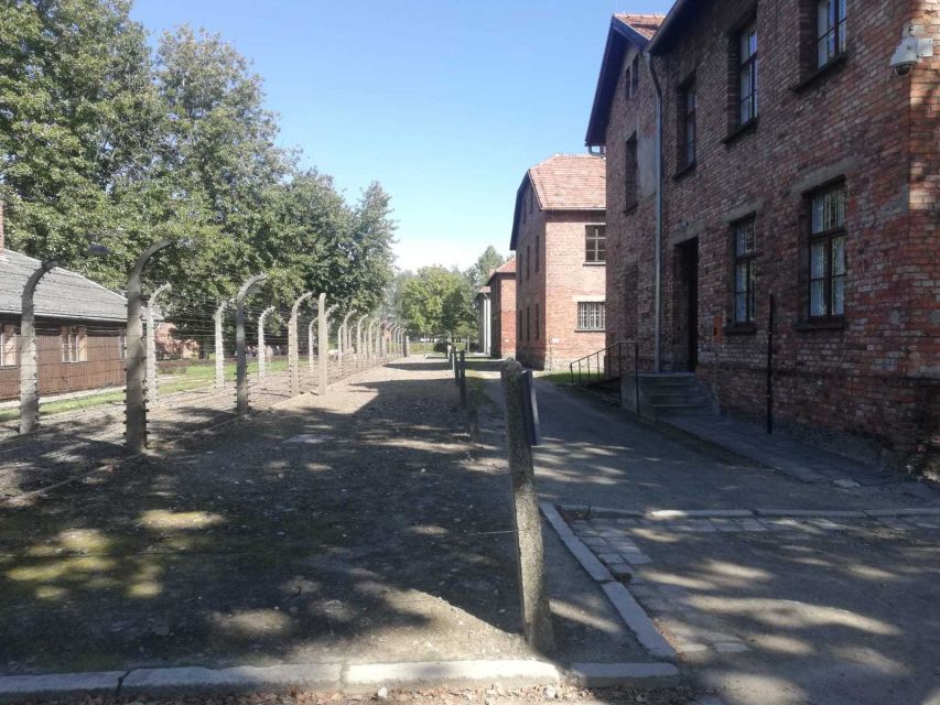 From Krakow: Auschwitz-Birkenau and Self-Guided Day Tour - The Birkenau section and its wide distances