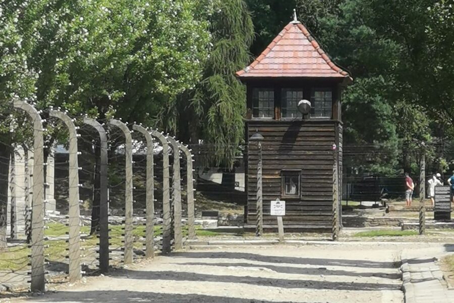 From Krakow: Auschwitz-Birkenau Camp Complex Guided Day Trip - My practical verdict on the seven-hour visit