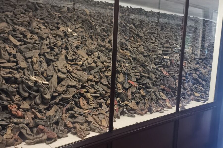 From Krakow: Auschwitz-Birkenau Camp Complex Guided Day Trip - Why this Auschwitz day trip matters
