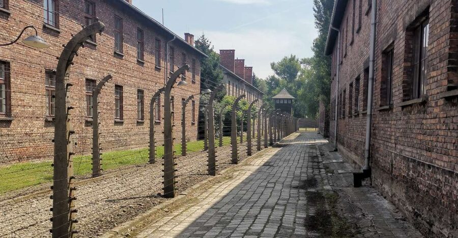From Krakow: Auschwitz-Birkenau Camp Complex Guided Day Trip - Entering Auschwitz through the familiar gate