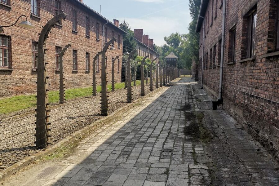 From Krakow: Auschwitz-Birkenau Camp Complex Guided Day Trip - Moving on to Birkenau and its memorials