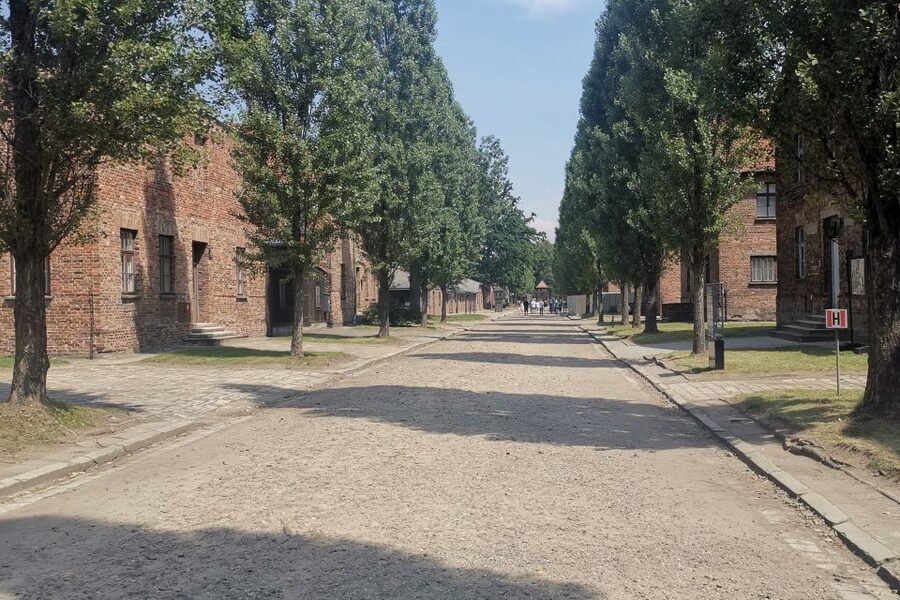 From Krakow: Auschwitz-Birkenau Camp Complex Guided Day Trip - Is $83 a fair price?
