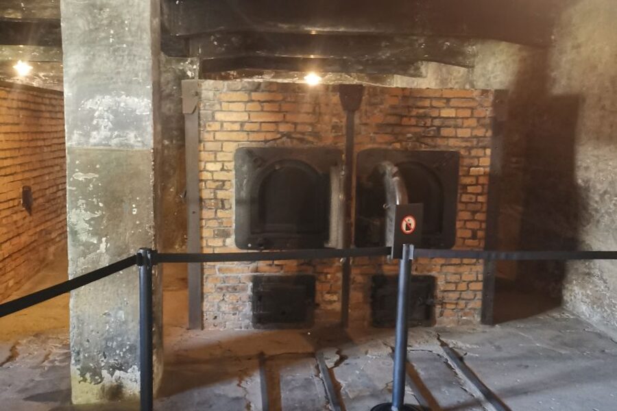 From Krakow: Auschwitz-Birkenau Camp Complex Guided Day Trip - Who should book this experience?