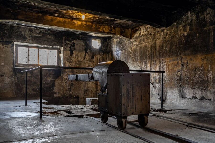 From Krakow: Auschwitz-Birkenau Full-Day Guided Tour - Practical rules that can affect your day