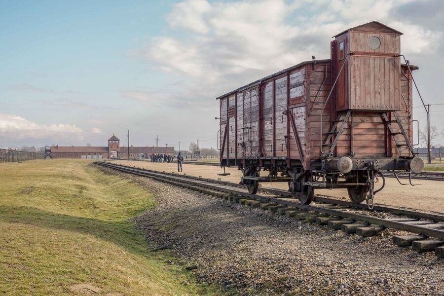 From Krakow: Auschwitz-Birkenau Full-Day Guided Tour - Block 11 and the surviving gas chamber