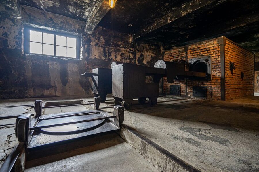 From Krakow: Auschwitz-Birkenau Full-Day Guided Tour - The short transfer to Auschwitz II-Birkenau