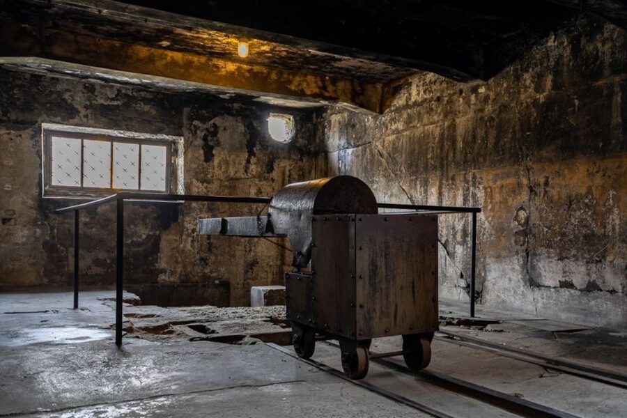 From Krakow: Auschwitz-Birkenau Full-Day Tour - Why Auschwitz requires a different kind of tour