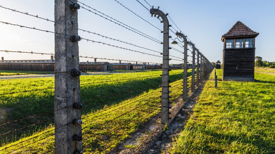 From Krakow: Auschwitz-Birkenau Guided Tour Guaranteed Time - Key points before you book