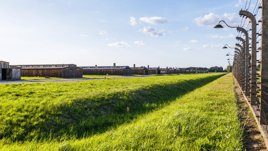 From Krakow: Auschwitz-Birkenau Guided Tour Guaranteed Time - Transport, group size, and the value of $53