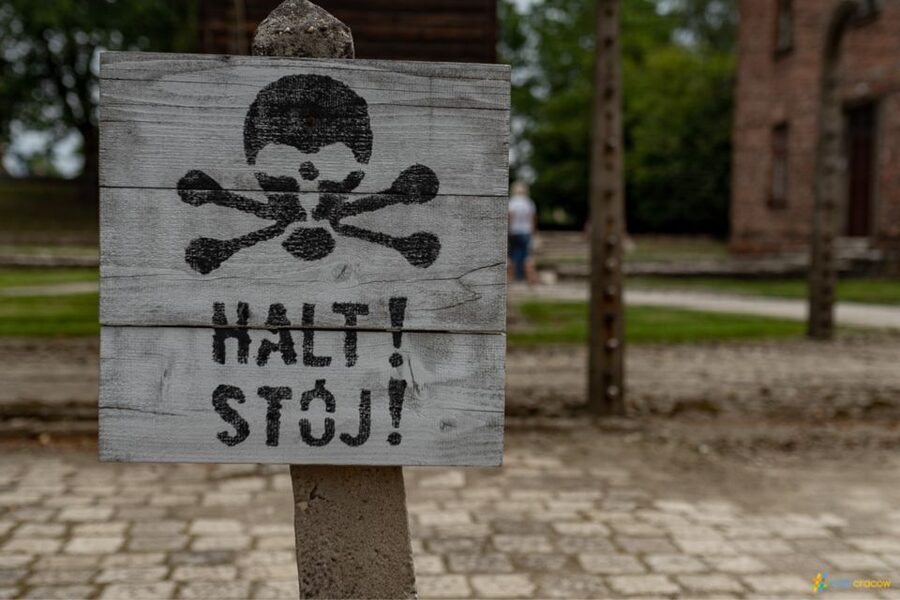 From Krakow: Auschwitz-Birkenau Guided Tour Guaranteed Time - How the guide shapes the experience
