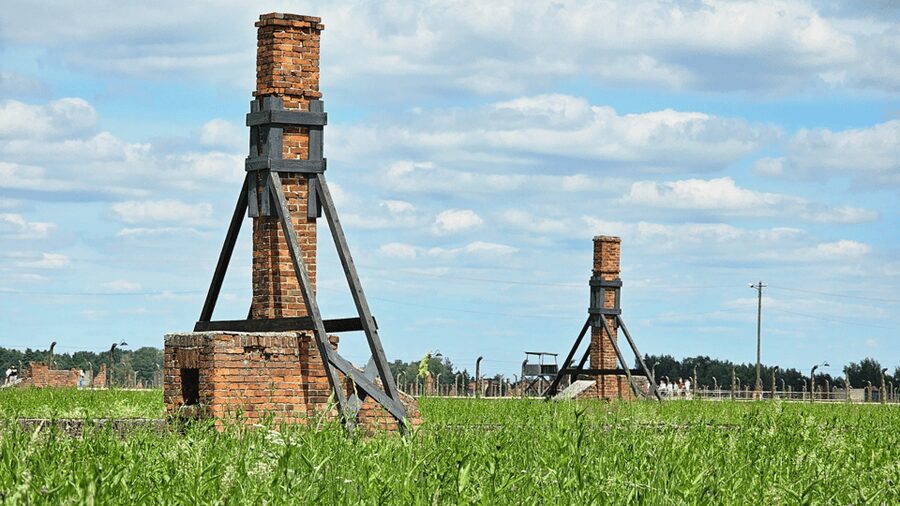 From Krakow: Auschwitz-Birkenau Guided Tour Guaranteed Time - Who should choose this tour