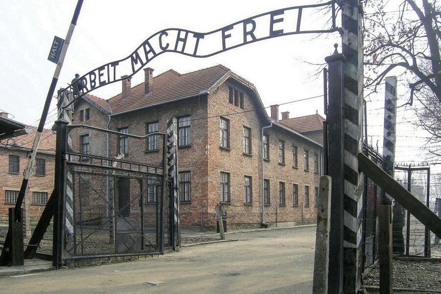 From Krakow: Auschwitz-Birkenau Guided Tour & Hotel Pickup - Birkenau and the Scale of the Camp