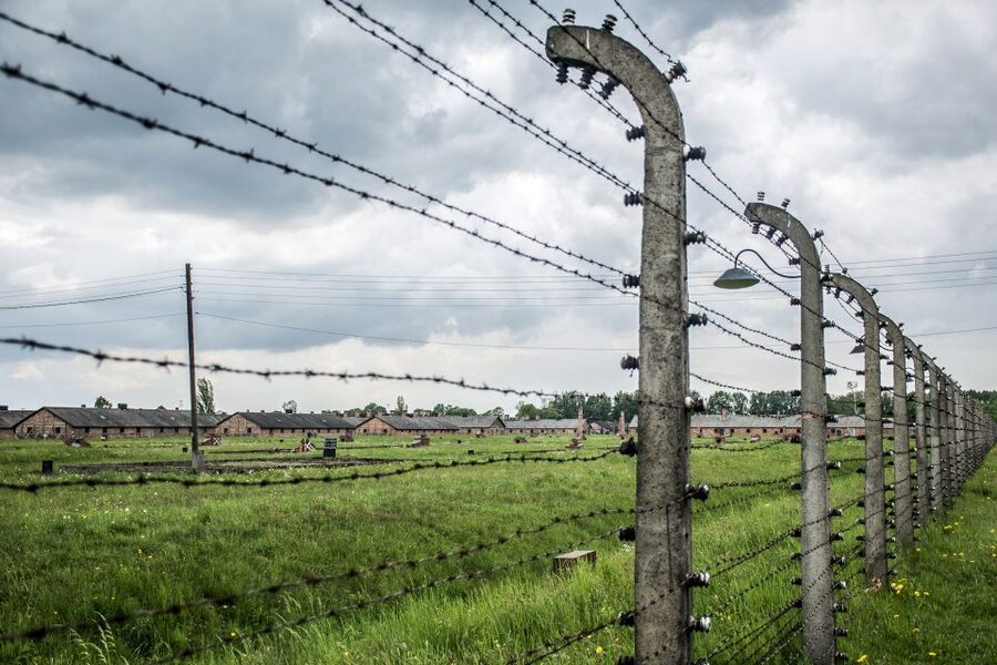 From Krakow: Auschwitz-Birkenau Guided Tour & Hotel Pickup - Transport, Timing, and Group Size