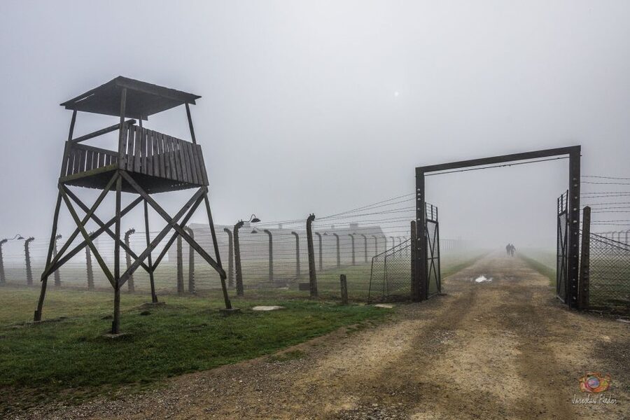 From Krakow: Auschwitz-Birkenau Guided Tour & Pickup - The short transfer to Birkenau