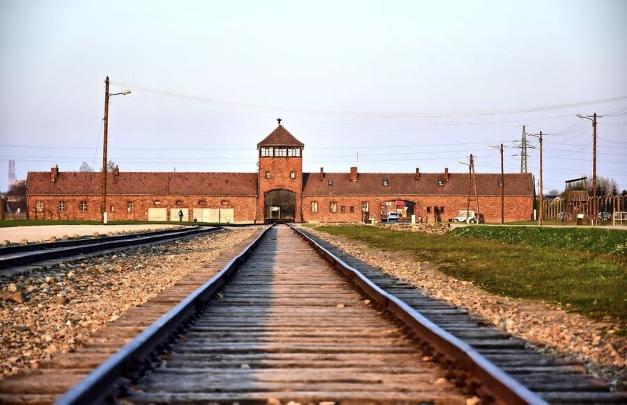 From Krakow: Auschwitz-Birkenau Guided Tour & Pickup - Timing, food, and the practical demands of the day