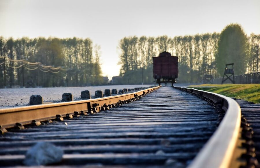 From Krakow: Auschwitz-Birkenau Guided Tour & Pickup - Is the $10 price good value?
