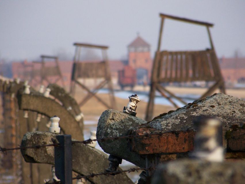 From Krakow: Auschwitz-Birkenau Guided Tour & Pickup - Who should choose this tour?