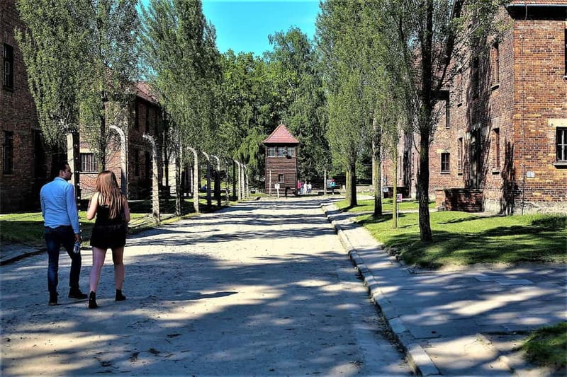 From Krakow: Auschwitz-Birkenau Guided Tour & Pickup Options - The main strengths and weaknesses
