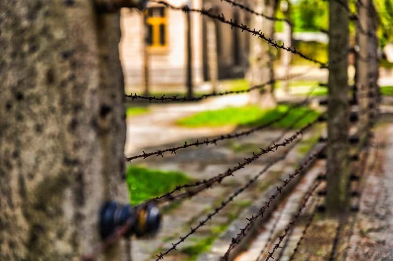 From Krakow: Auschwitz-Birkenau Guided Tour & Transport - What the tour leader adds