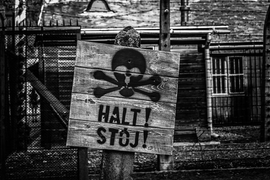 From Krakow: Auschwitz-Birkenau Guided Tour & Transport - Practical preparation for a respectful visit