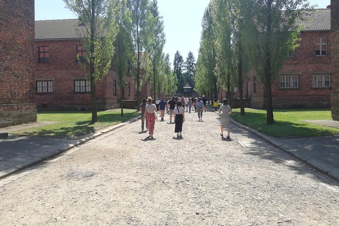 From Kraków: Auschwitz-Birkenau Guided Tour with Licensed Guide - Who should choose this Krakow tour