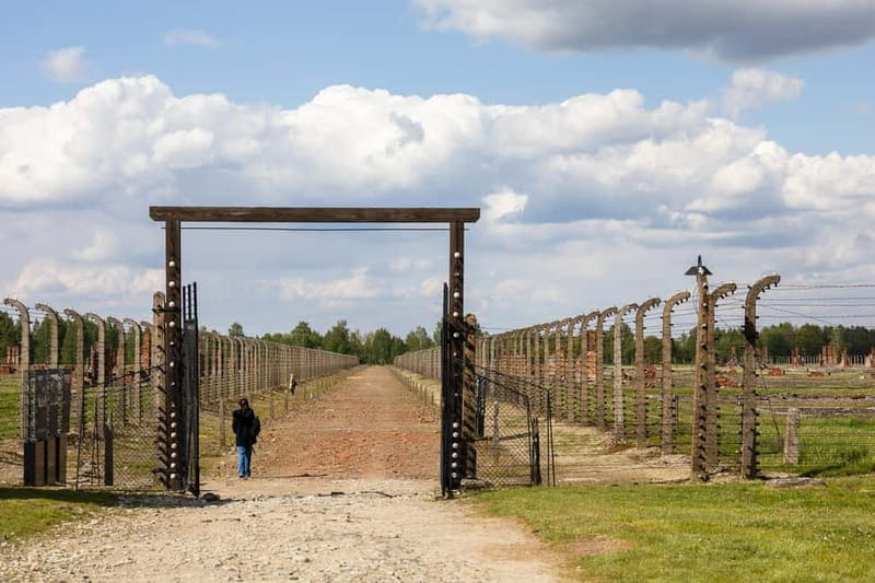From Krakow: Auschwitz-Birkenau Guided Tour with Transport - What the guiding adds