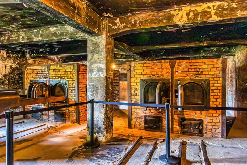 From Krakow: Auschwitz-Birkenau Guided Tour with Transport - Comfort, food, and the long return